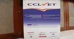 Final Conference